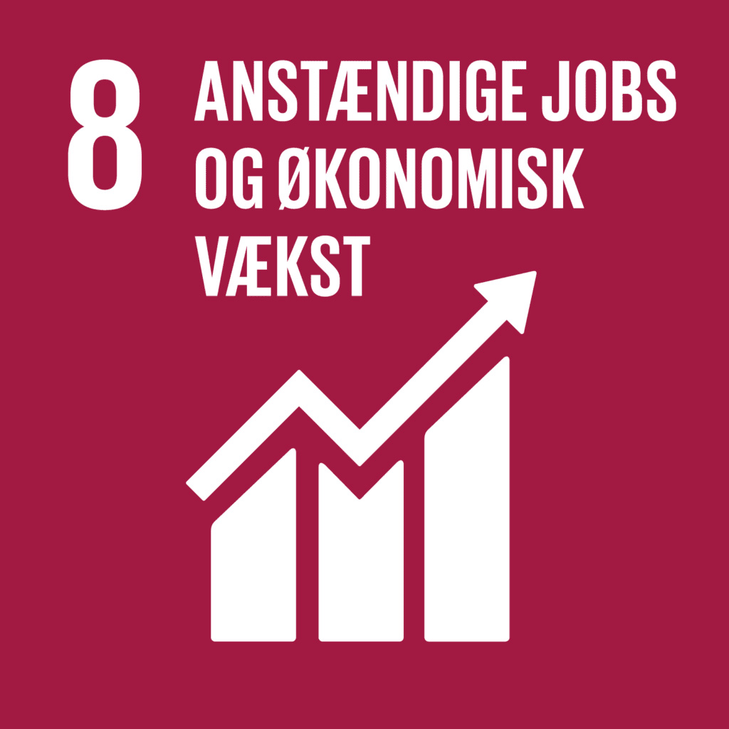 FN's verdensmål 8