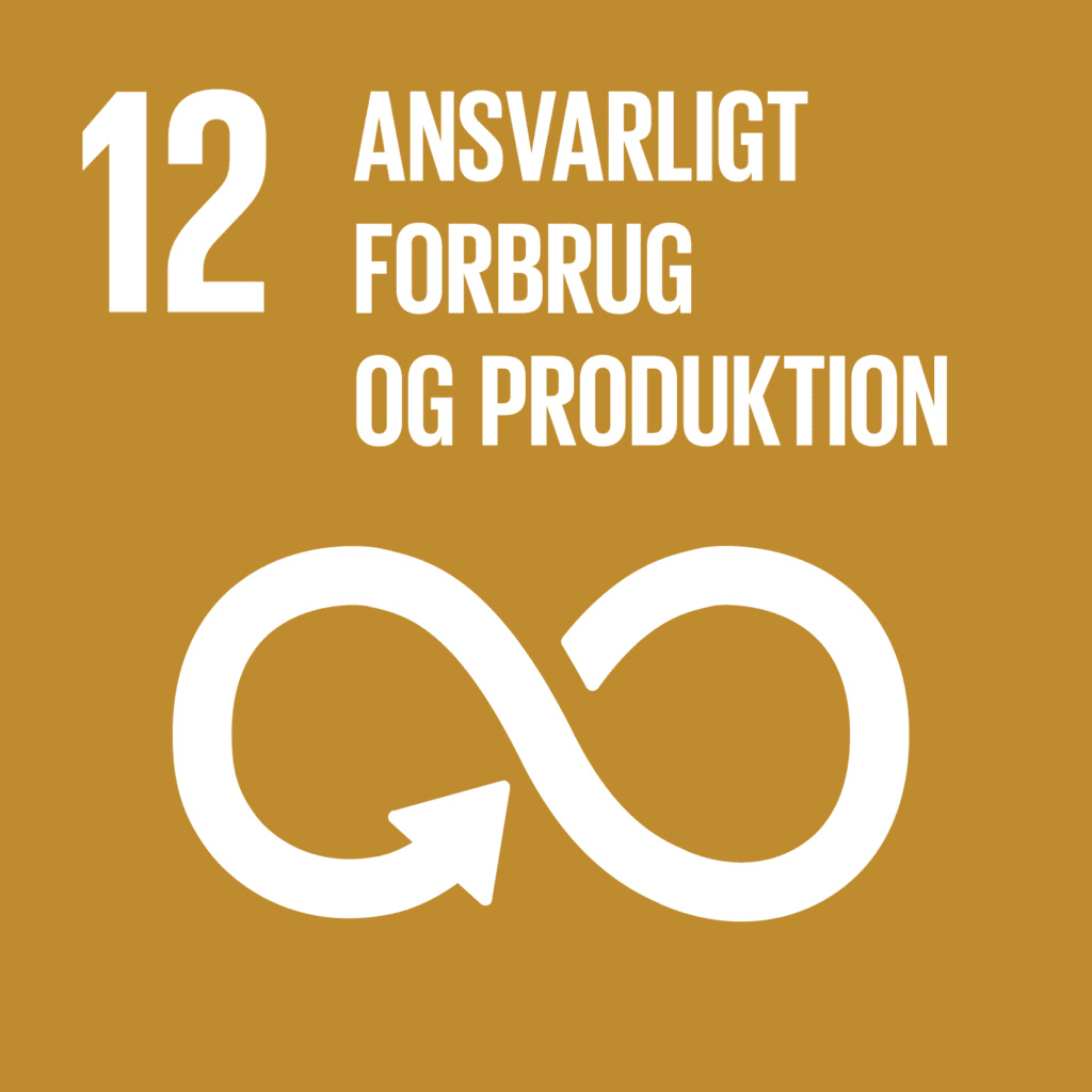 FN's verdensmål 12